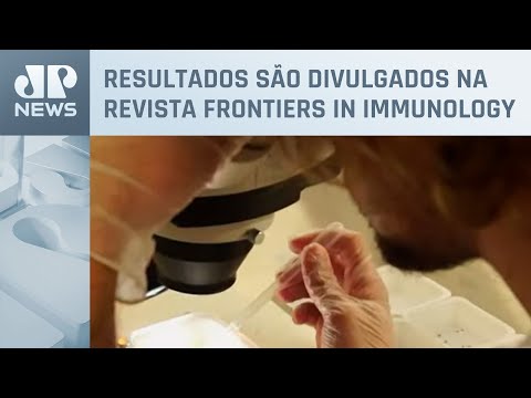 Pesquisadores desenvolvem vacina contra vírus Zika