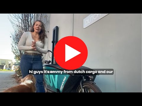 Dutch Cargo Bike for Dogs