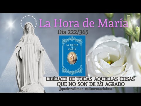 Día 222 | La Hora de María | Meditación diaria | Líberate de aquellas cosas que no son de mi agrado