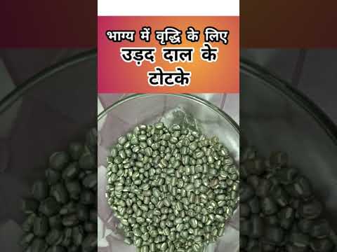 Luck Factory #astrology #numerology #astrologer #mantrajyotish #upay #totka #totke #urad #thewaves