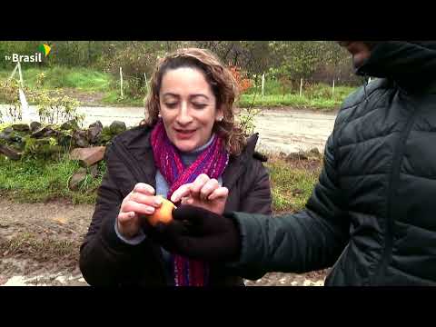 Caminhos da Reportagem | Riquezas da Nossa Terra: Sabores do frio serrano