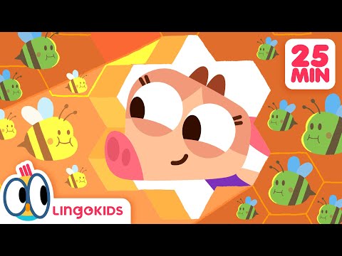 DINOSAURS, BEES AND MORE FUN CARTOONS 🦖 | Science for Kids | Lingokids