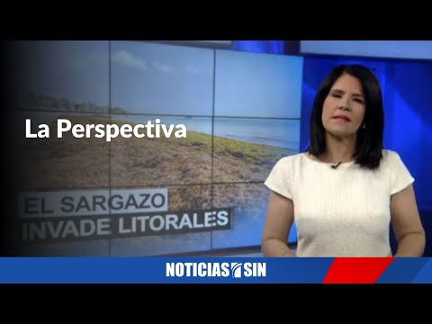 El sargazo invade litorales