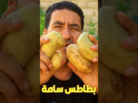 لا تأكل هذه البطاطس❌سامة!