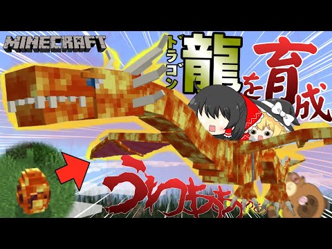 【ゆっくり実況】５つの龍を卵から孵化させて育てるマイクラアドオンが凄かった/【PE/PS4/Switch/Xbox/Win10】