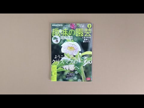 みんなの趣味の園芸の最新動画 Youtubeランキング