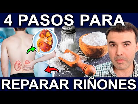 CUIDA TUS RIÑONES EN 4 PASOS - Riñones Libre De Infecciones Y ¡Adiós A La Insuficiencia Renal!