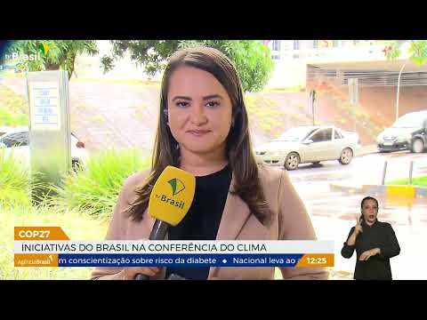 COP27: Brasil anuncia aliança para proteção do cerrado