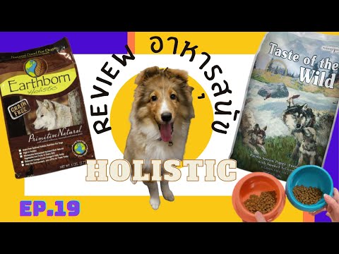 รีวิวอาหารสุนัขสูตรHolistic-ยี รีวิวอาหารสุนัขสูตรHolistic-ยี