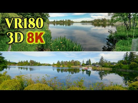 [ 8K 3D VR180 ] 蓼科湖 Lake Tateshina-ko, a lake located in the popular resort Tateshina Highlands