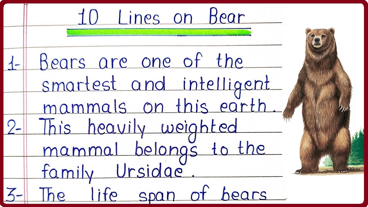 essay on bear for class 4