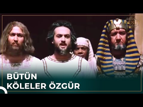 Hz. Yusuf Müjdeli Haberi Verdi | Hz. Yusuf