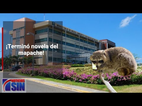 Exhortan a reportar si se produce nuevo hallazgo de ese animal