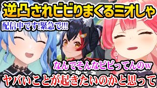 みこめっとに逆凸されガチビビりするミオしゃw【ホロライブ】