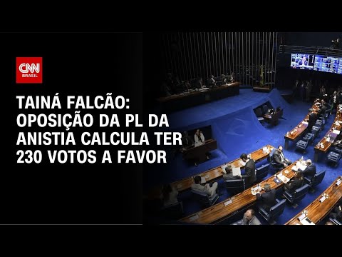 ​Tainá Falcão: Oposição ao PL da anistia calcula ter 230 votos a favor | BASTIDORES CNN