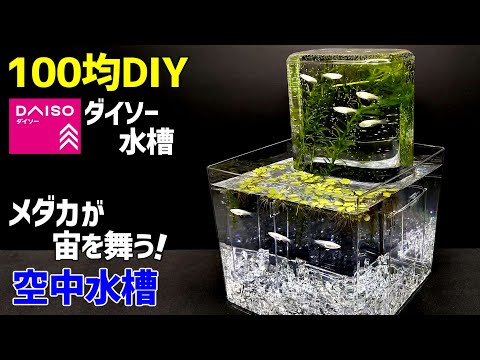 【100均DIY】ダイソー水槽で作る【空中水槽】/メダカ飼育/四角型水槽/【100均アクアリウム】