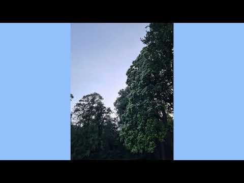 (FREE) makko x Longusmongus Type Beat "Morgen danach"