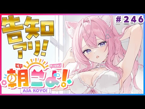 【 #朝こよ 】告知アリ！火曜日の朝は朝こよ～～～！☀ #246 【博衣こより/hololive】