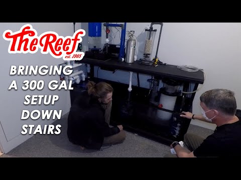 THE LOUISVILLE JOB | 300 GAL DELIVERY & SETUP | Th Join us as we build out a 300 gallon Planet Aquarium reef tank with a Bashsea Life Support System an