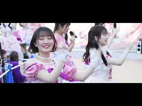 【第140回明大祭】当日編集Endingスライドショー 【Mrs.GREEN APPLE/Dear】