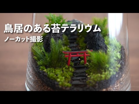 鳥居のある苔テラリウムをつくる【ノーカット作製動画】#190