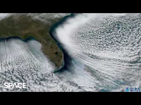 Stunning 'cloud streets' surround Florida during arctic blast in time-lapse