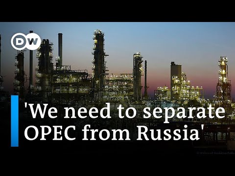 Why an oil embargo might not be the best way to harm Putin now | DW News