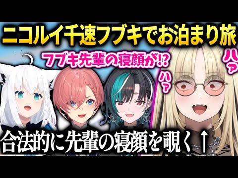 ニコたんルイ姉千速フブちゃんとお泊まり旅で色々な事が起こった話【虎金妃笑虎/ホロライブ】