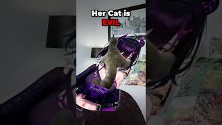 Her Cat is a MENACE