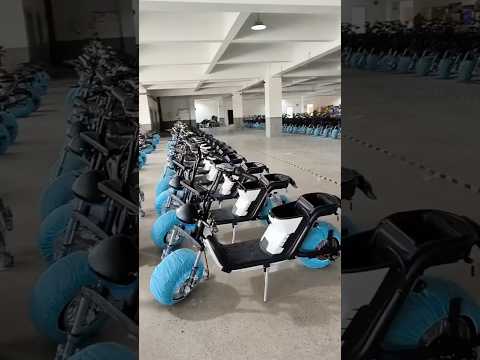 electric Citycoco scooter factory #electricscooter #linkseride #brazilian #electric #elektroroller