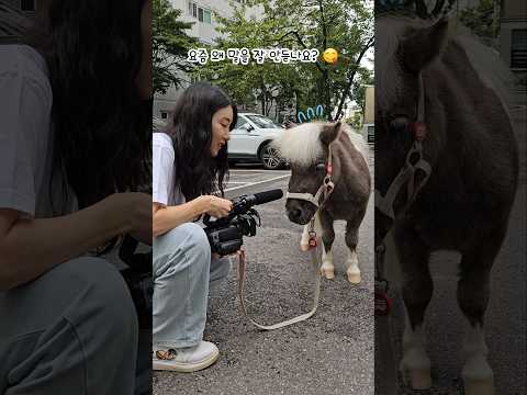 나 무적의 말춘기얏!!🦄❤️🔥I'm in puberty~~😤💨