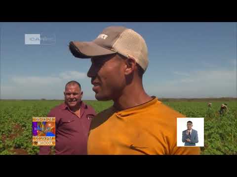 Analizan sistemas de trabajo de la Agricultura en Cuba