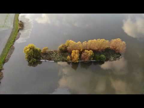 Detlef Strempel - Istrumental Future 2
