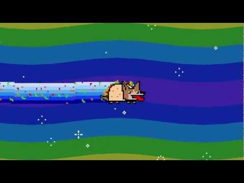 Video: Fiesta dog- - labai stiprus konkurentas Nyan katukui