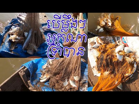 សរុបលទ្ធផល The Best Fishing Videos 2026 | #784