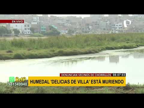 Denuncian que Humedal Delicias de Villa está muriendo por falta de interés en preservarlo
