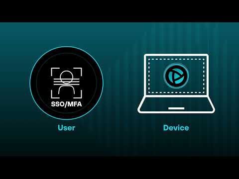 Prisma Access Browser for VDI Reduction