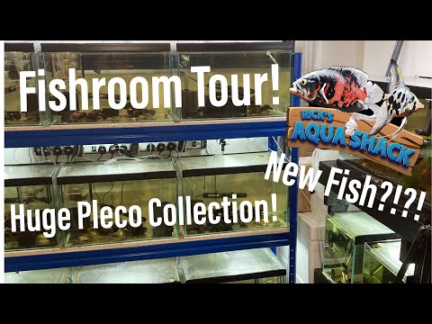 Fishroom Tour!! Updated Pleco Collection!! This is an updated fishroom tour of everything I’ve got and things that have changed!! Remember to