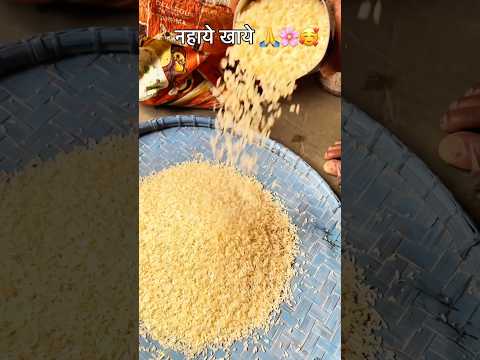 Nahaye khaye छठ पूजा 🙏🌸🥰 #chhathfestival #chhathpuja #chhathgeet #chhathimaiya #chhathpujasong