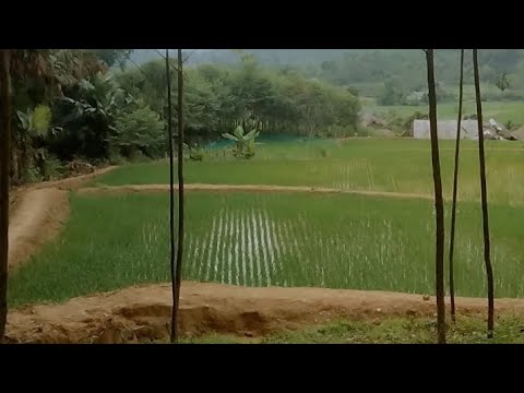 chia sẻ cuộc sống nông thôn