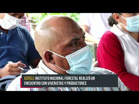 Reforestación y viveros, claves en la producción de granos básicos en Estelí - Nicaragua