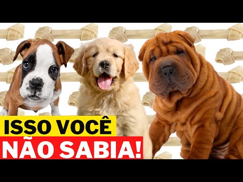 Thumbnail Video Youtube