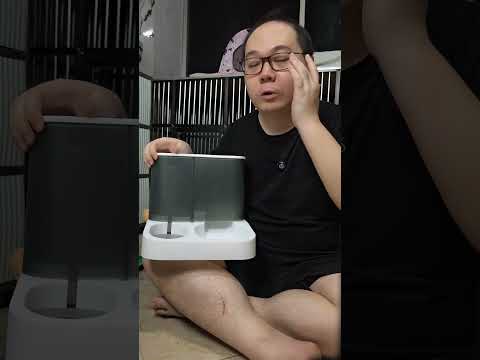 Review Pet Feeder 2 in 1 Pawsitive Vibes untuk kucing