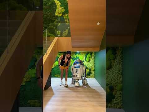 May the 4th be with you 5K