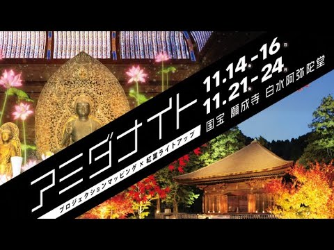 アミダナイト2025