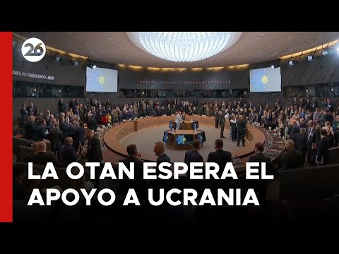 La OTAN espera el apoyo a LARGO PLAZA a UCRANIA