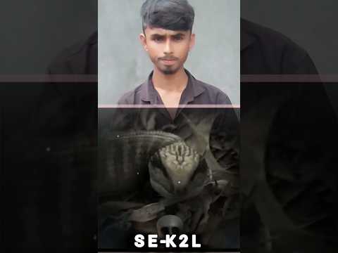 What 😱☠️#video #funny