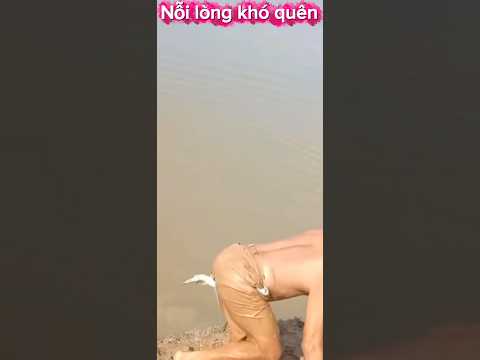 Nỗi lòng khó quên ( giải trí )