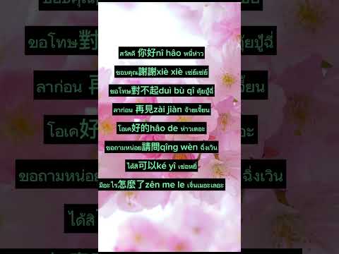 ภาษาจีนวันละคำstudythaistudy