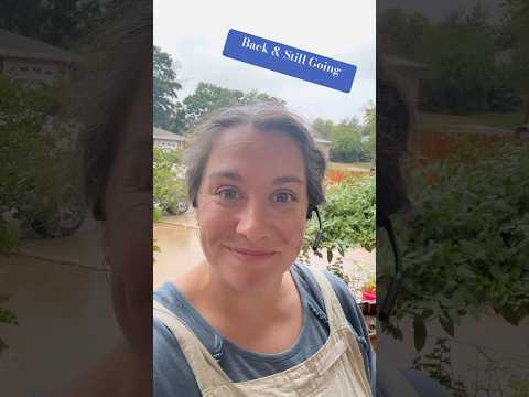 Back from a trip & Still Going #workingseeds #gardening #colorado #momtalk #productivity #rainyday